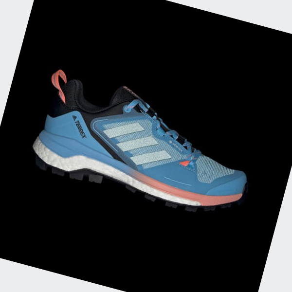 Zapatillas Trekking Adidas Terrex Skychaser GORE-TEX 2.0 Mujer Chile Azules - RCXFEK971